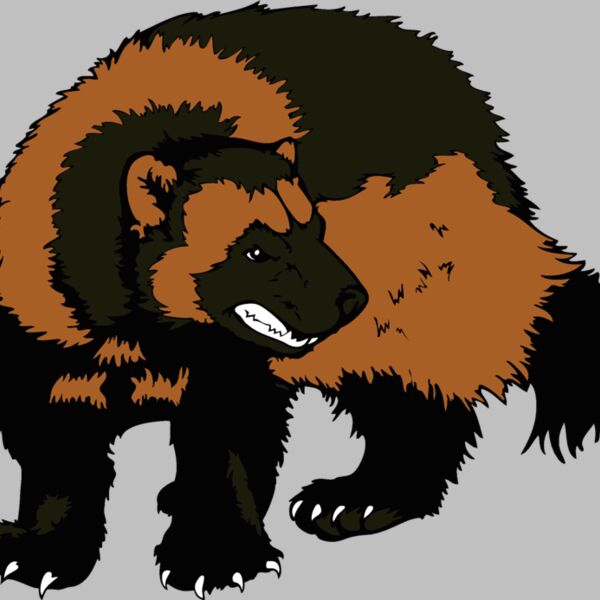 wolverine19 Thumbnail