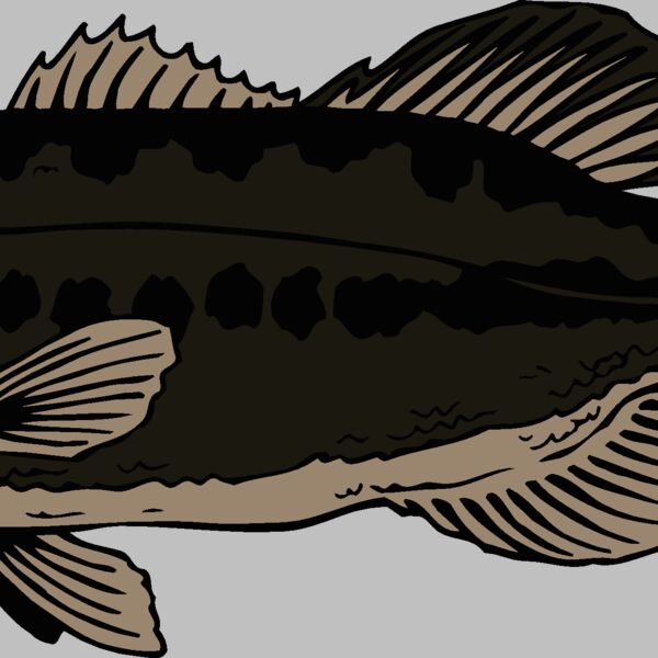 fish largemouthbass Thumbnail