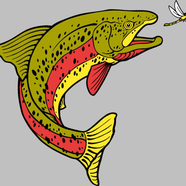 fish rainbowtrout3 Thumbnail