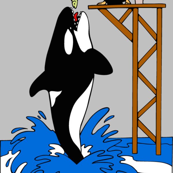 killerwhale05 Thumbnail