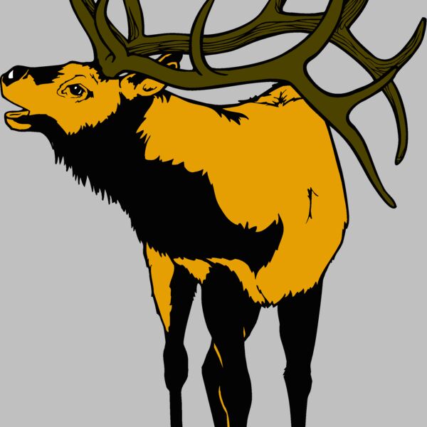 elk Thumbnail