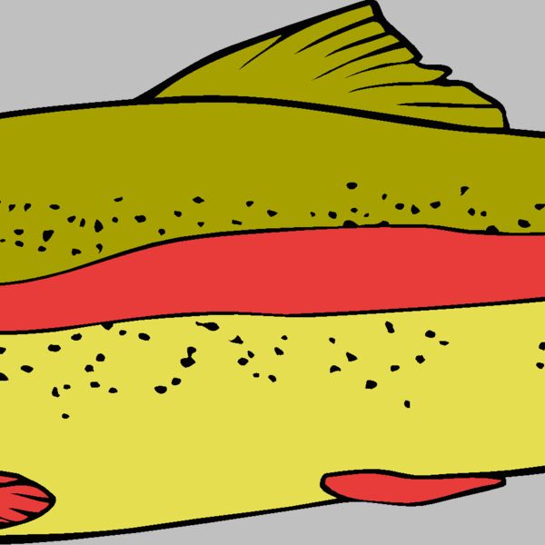 fish rainbowtrout02 Thumbnail