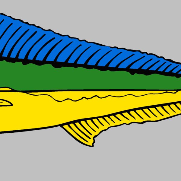 fish dolphin Thumbnail