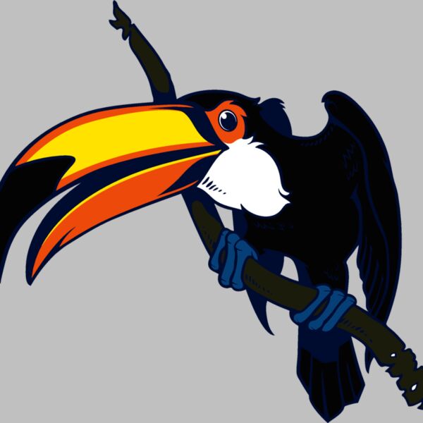 toucan01clr Thumbnail