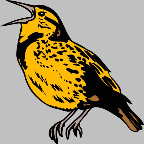 kansasmeadowlark1 Thumbnail