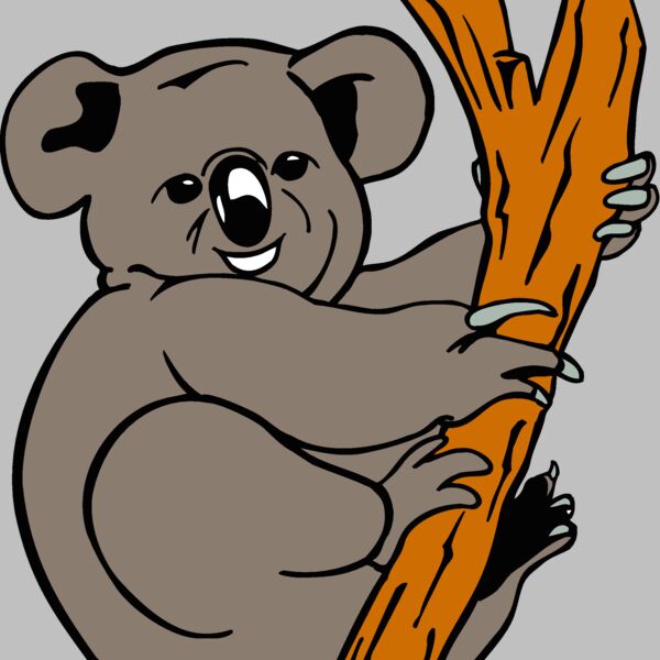koala4 Thumbnail