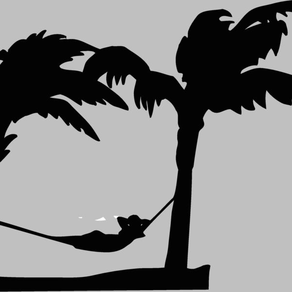 hammock palmtrees Thumbnail