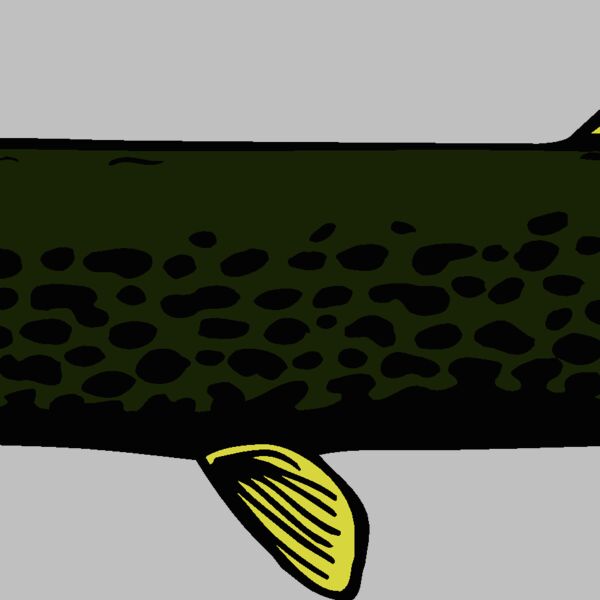 fish northernpike2 Thumbnail