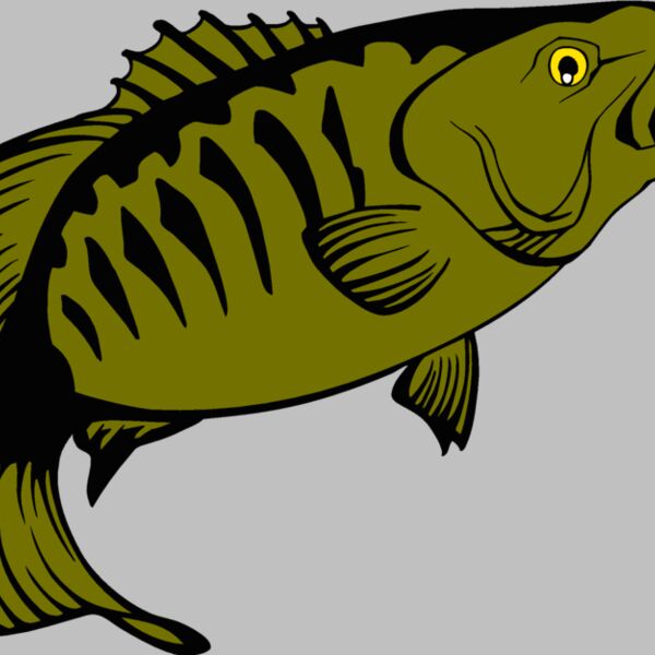 smallmouthbass Thumbnail