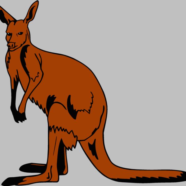 kangaroo1 Thumbnail
