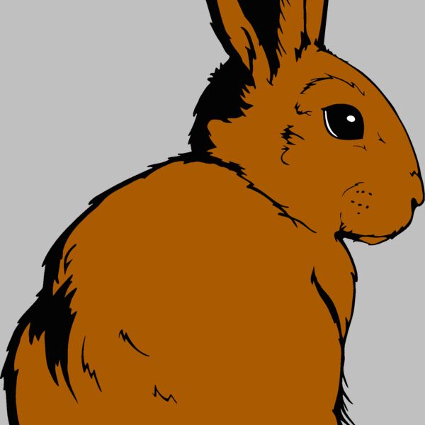 cottontail Thumbnail