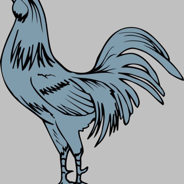 delawarehen1 Thumbnail