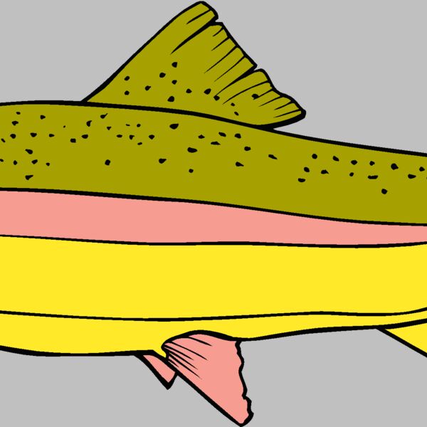 fish rainbowtrout Thumbnail