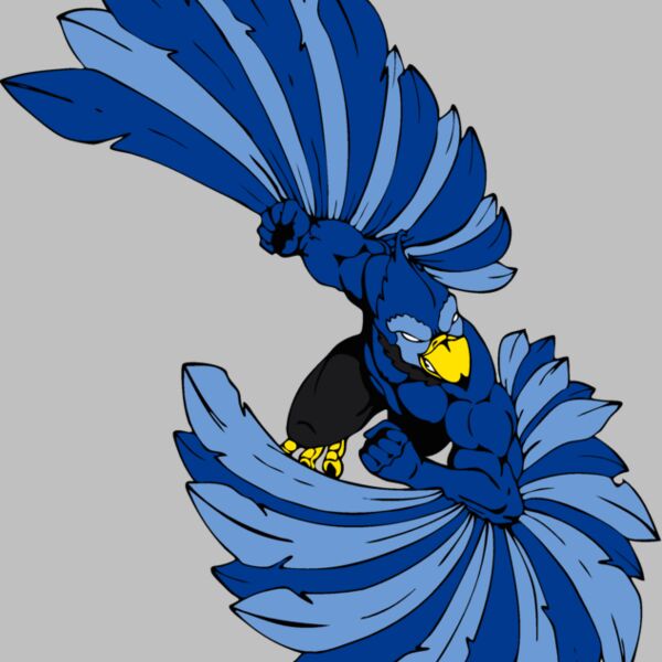 bluejay1 Thumbnail
