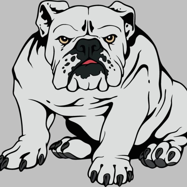 bulldog15v4clr Thumbnail