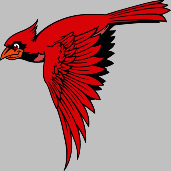 cardinal02v4clr Thumbnail