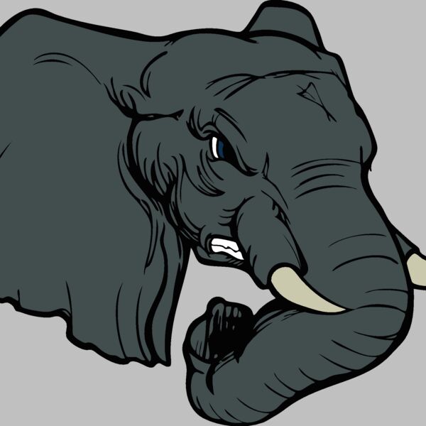 elephanthead02 Thumbnail