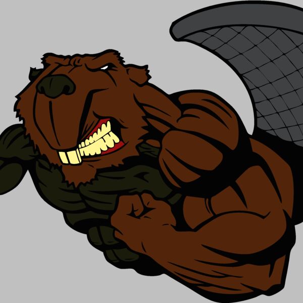 beaver10 Thumbnail