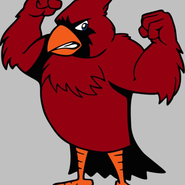 cardinalmsct3 Thumbnail