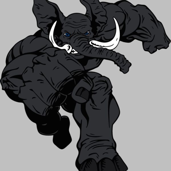 elephantmsct5 Thumbnail