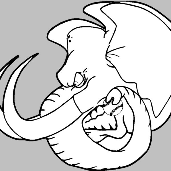 elephanthead03 Thumbnail