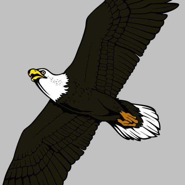 eagle17v4clr Thumbnail