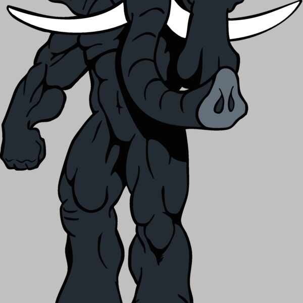 elphntmsct 4 Thumbnail