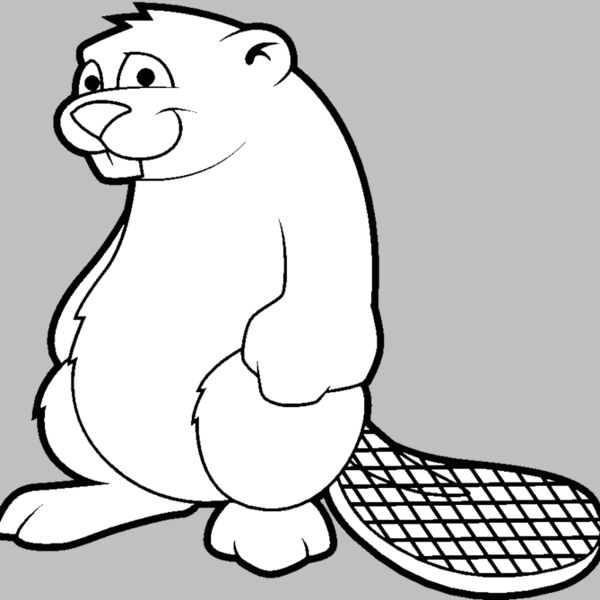 beaver2 Thumbnail