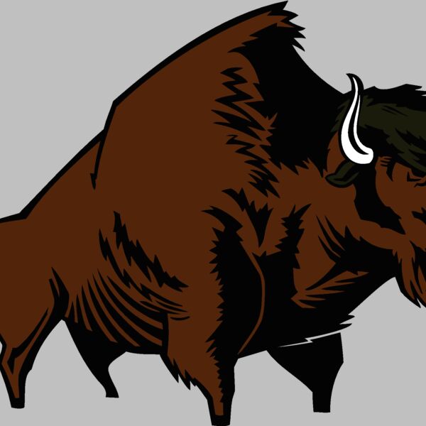 buffalo04v4clr Thumbnail