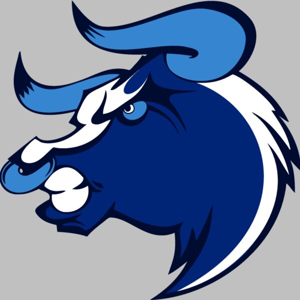 bull12v4clr Thumbnail