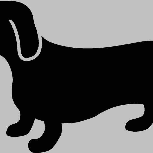 weinerdog dachshund Thumbnail