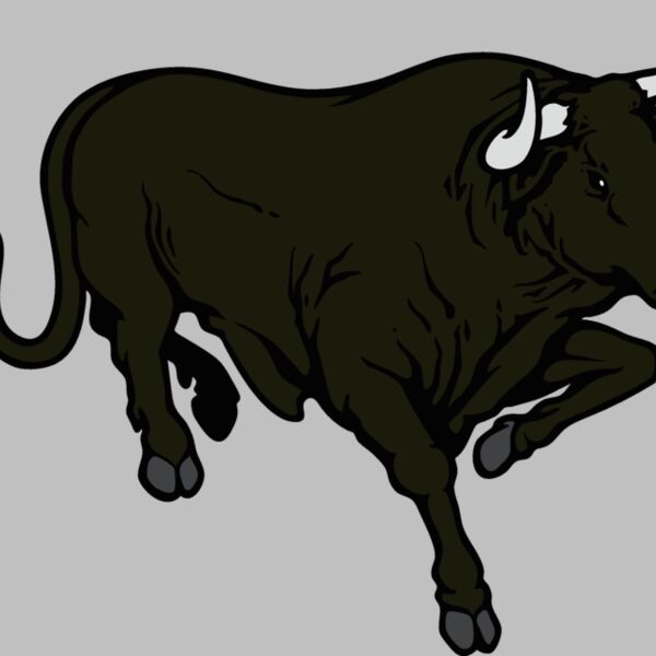 bull07v4clr Thumbnail