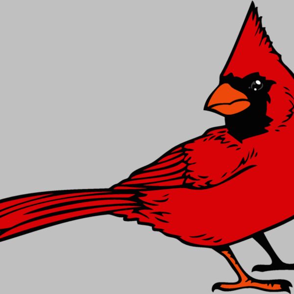 cardinaljk12 Thumbnail