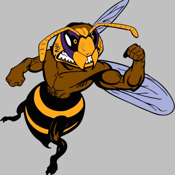 waspmsct02 Thumbnail