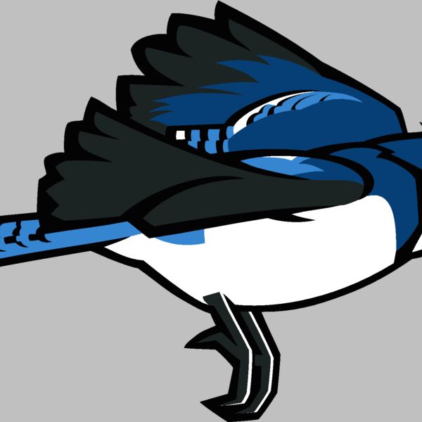 bluejay7 Thumbnail
