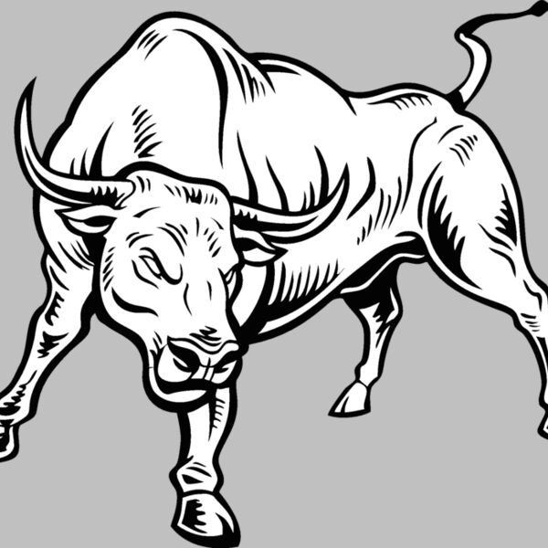 bull11v4bw Thumbnail