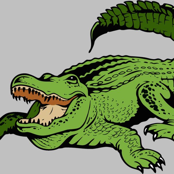 gator11v4clr Thumbnail