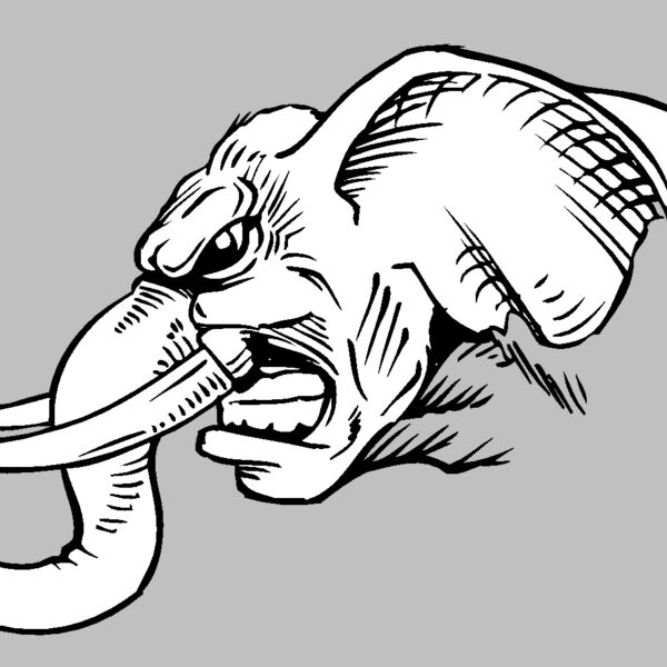 elephanthead06 Thumbnail