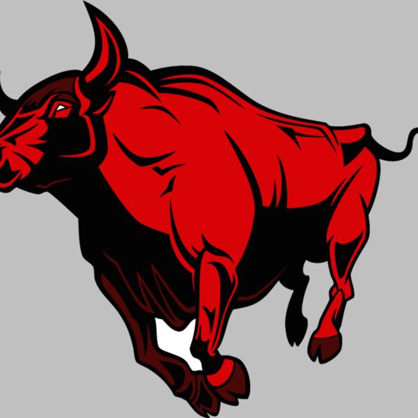 bull04v4clr Thumbnail