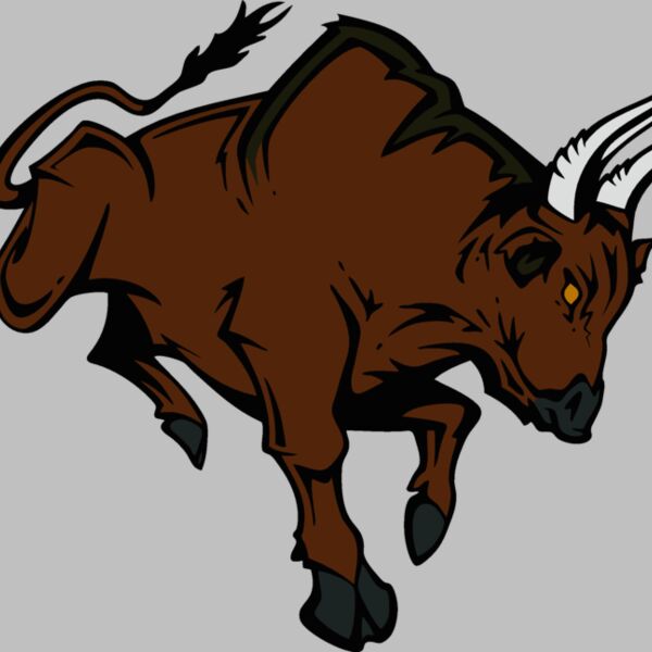 bull08v4clr Thumbnail