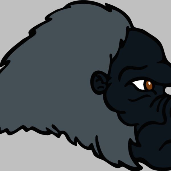 gorilla 19 Thumbnail