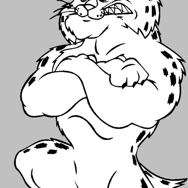 bobcatrgbybns Thumbnail