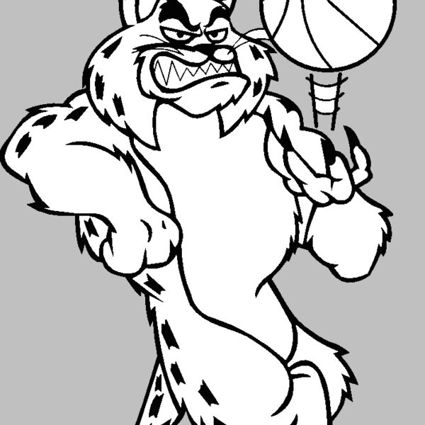 bobcatbskblbns2 Thumbnail