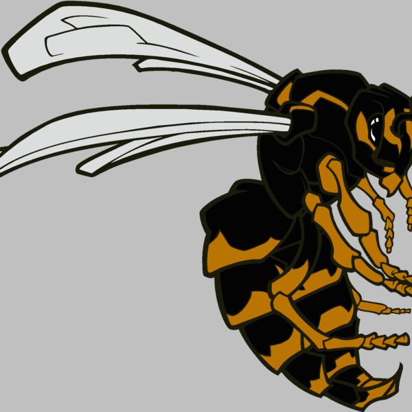 bee01v4clr Thumbnail