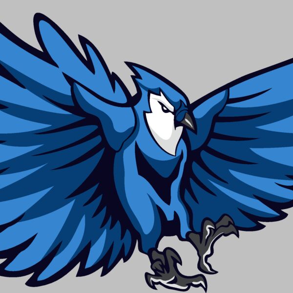 bluejay6 Thumbnail