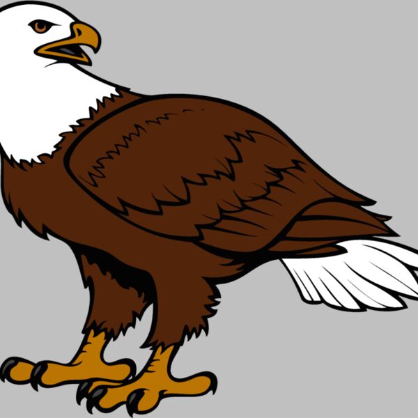 eagle18v4clr Thumbnail