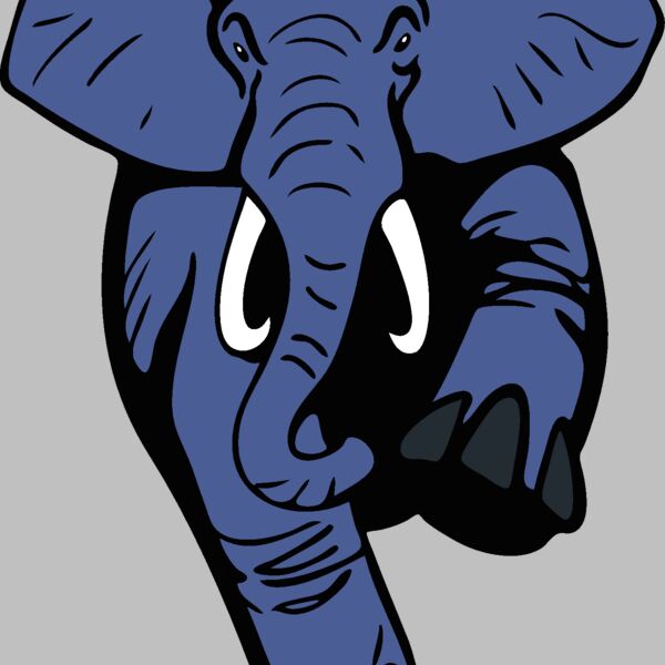 elephantmsct4 Thumbnail