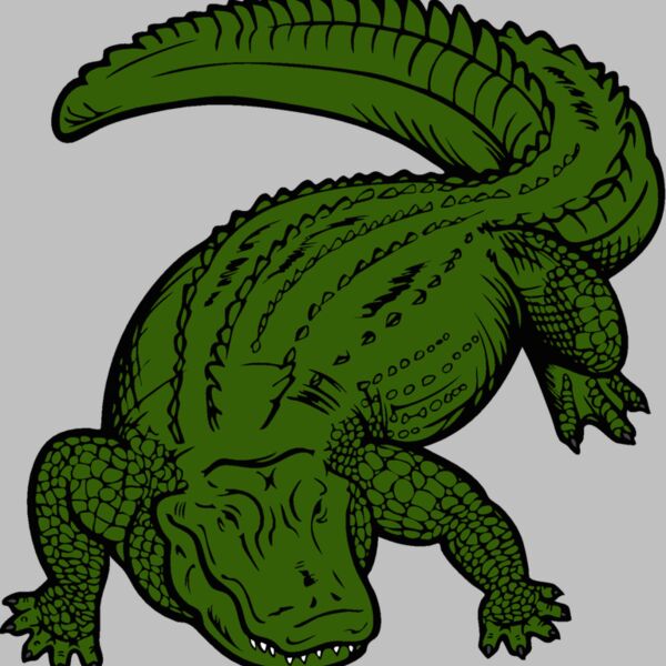 gator01v4clr Thumbnail