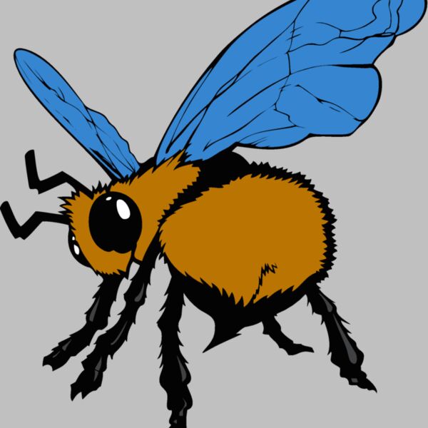 bee05v4clr Thumbnail