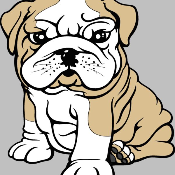 bulldog10v4clr Thumbnail